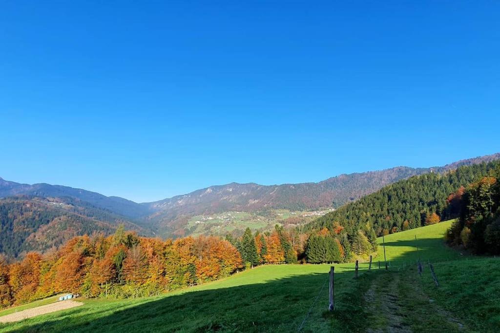 Вилла House Pucnk-Beautiful Countryside Железники Экстерьер фото