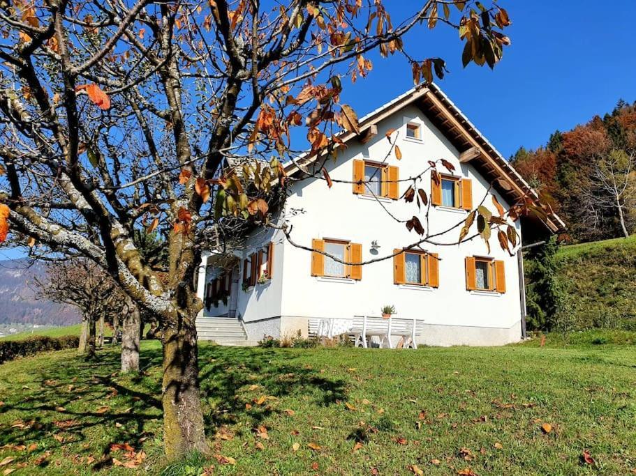 Вилла House Pucnk-Beautiful Countryside Железники Экстерьер фото